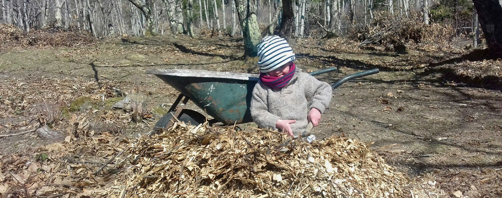Amneo - Des châtaignes plein les poches