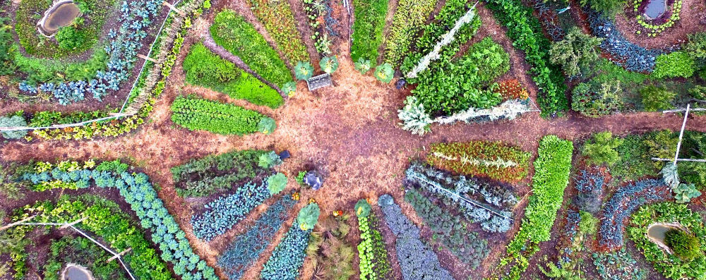 Ferme du Bec Hellouin - Etude sur la microferme permaculturelle © Nicolas J. Vereecken