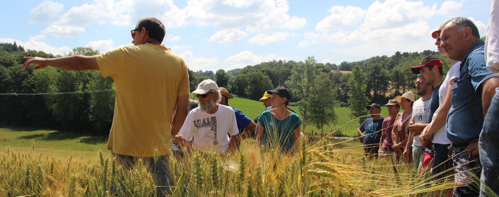 Association Francaise d