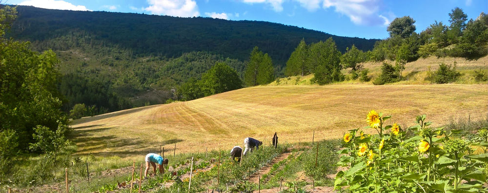 Jardins nourriciers - Une agriculture vivrière coopérative et écologique