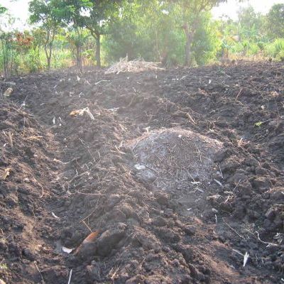 Incorporation de compost