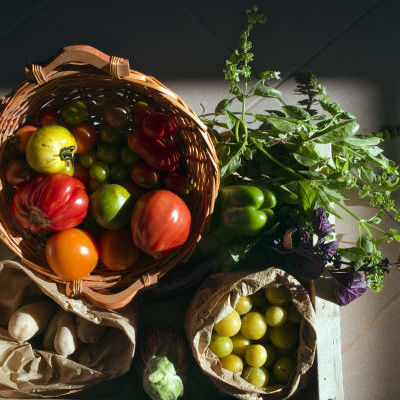 Un panier de légumes © Jardins Nourriciers