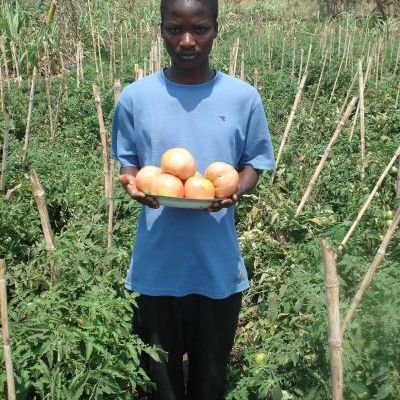 Un paysan fier de nous montrer la taille de ses tomates